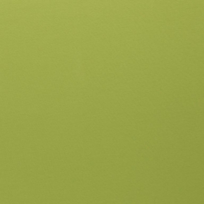 Jersey uni | VANESSA | Apfelgrün